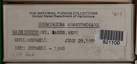 Image Associated With the Occurence